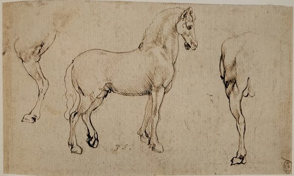 Leonardo da Vinci, studies of a horse, Royal Collection, Windsor Castle