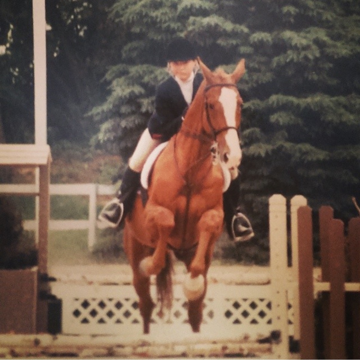 Orchid Bertelsen competing over fences with Justin, her off-track Thoroughbred, at a B circuit show in the Chicagoland area